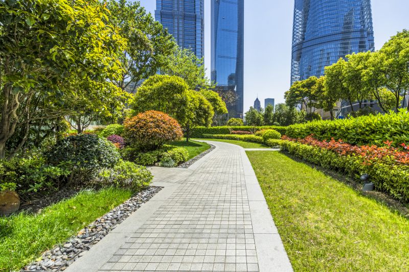 Landscaping and Pathways